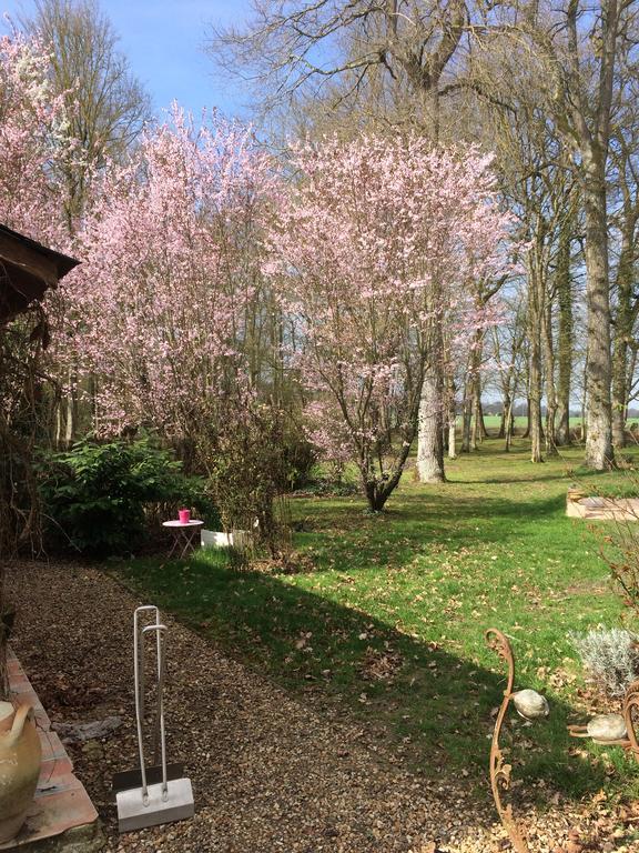 Logis De La Paqueraie Bed & Breakfast Saint-Branchs ภายนอก รูปภาพ